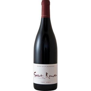 Sarnin Berrux Saint Romain
